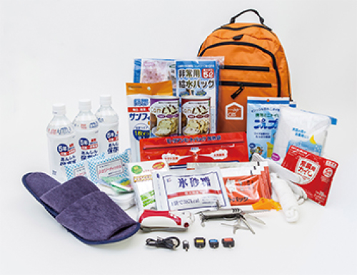 オリジナル非常持ち出し袋スマート27